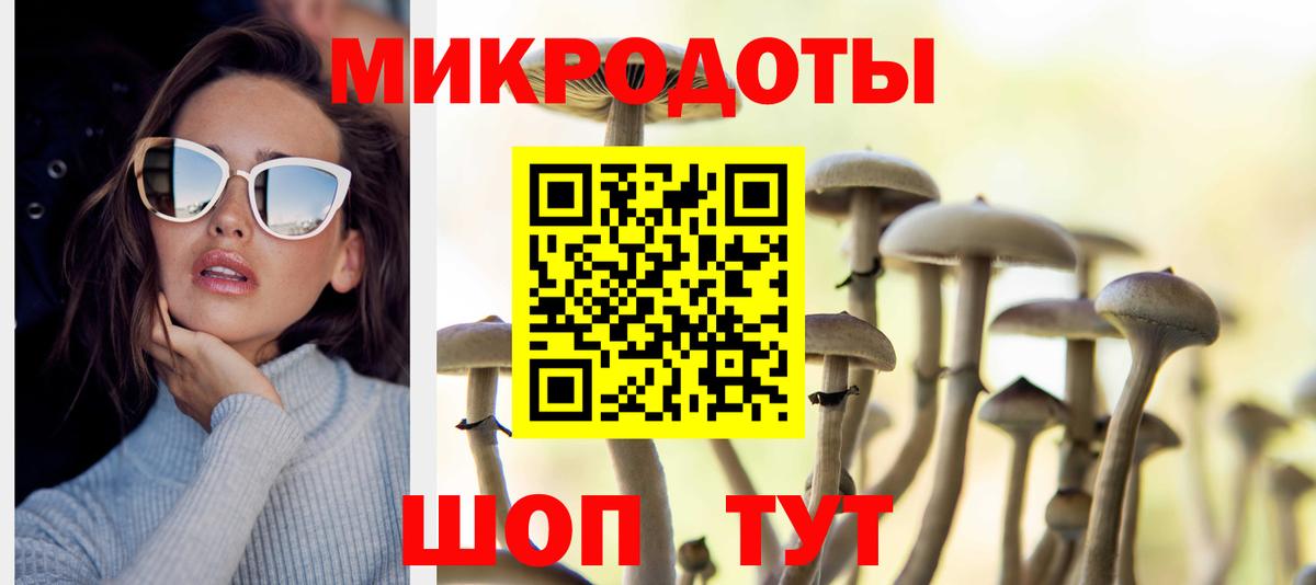 Псилоцибиновые грибы GOLDEN TEACHER Грозный