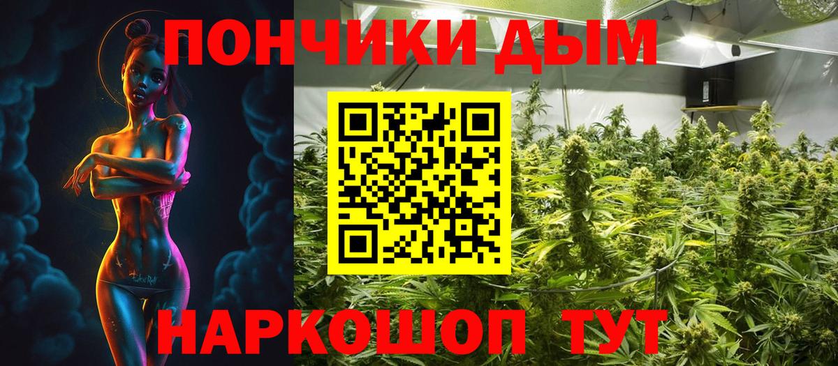 Конопля сатива Грозный